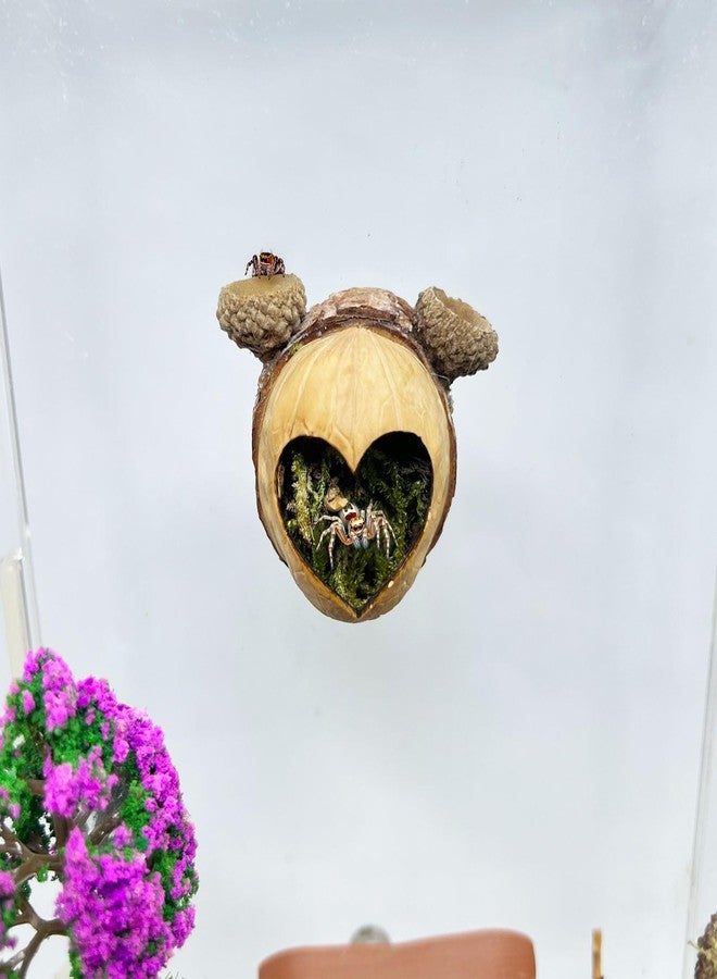 Daerky Jumping Spider Hideaway, Magnetic Jumping Spider Habitat, Spider Jumping Climbing Platform, Handmade Spider Enclosure Accessory - Image 1